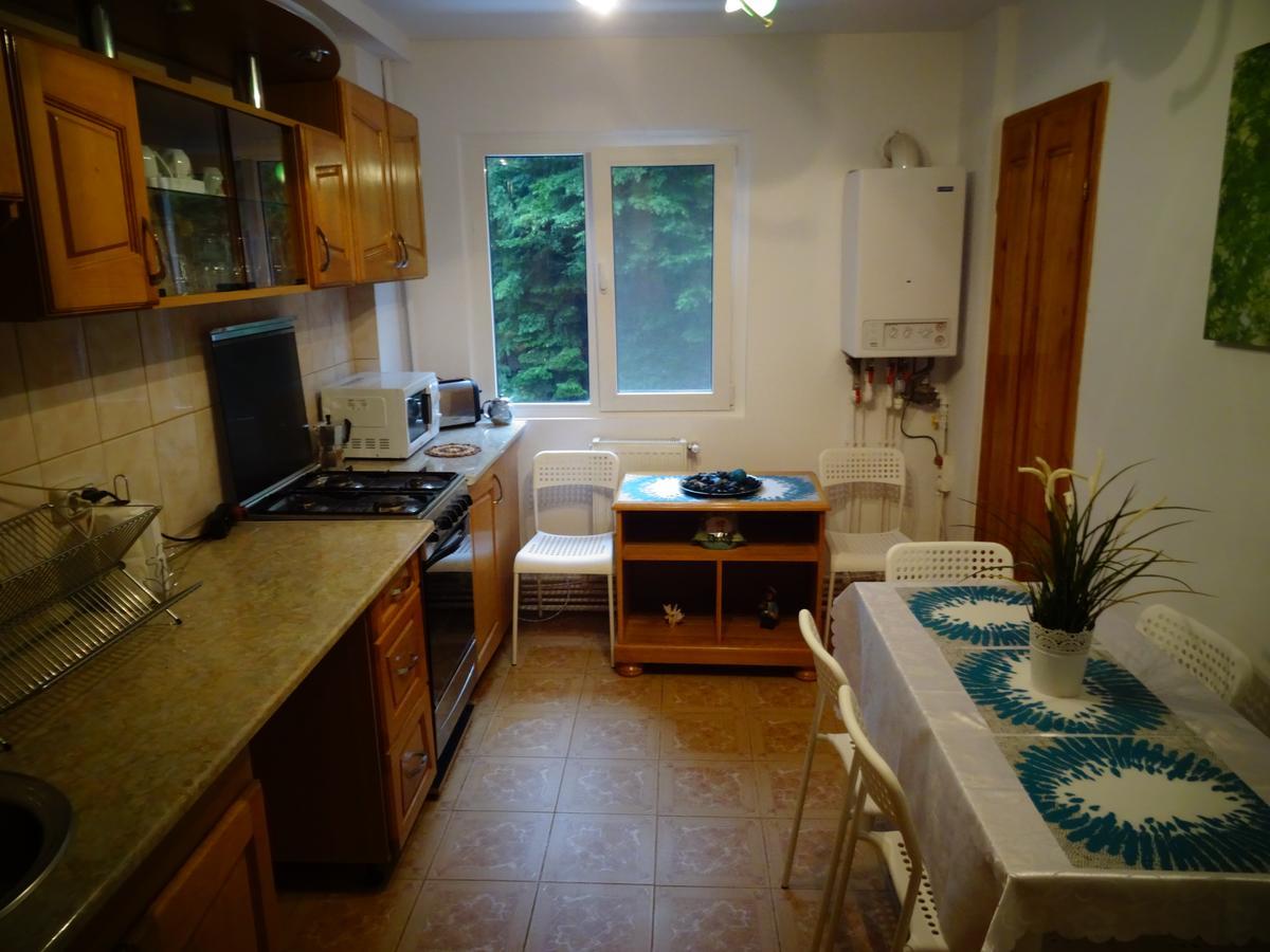 Apartament Cu Doua Camere Сленік-Молдова Екстер'єр фото